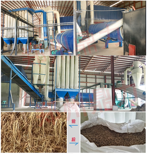 菲律賓象草烘干生產線